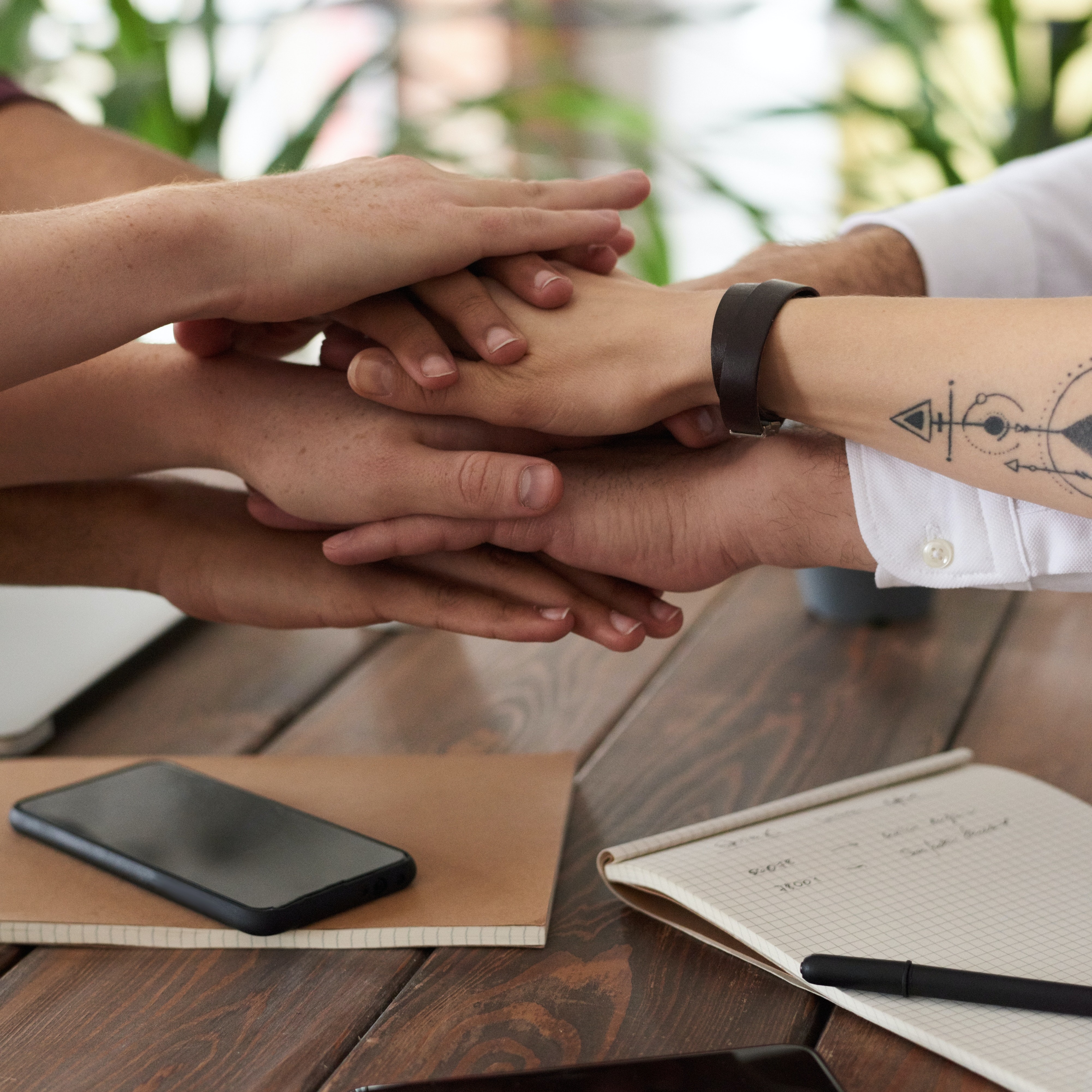 Habilidades para la economía verde